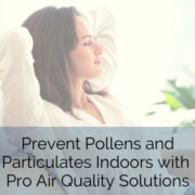 Prevent Pollens and Particulates Indoors with Pro Air Quality Solutions