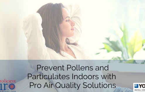 Prevent Pollens and Particulates Indoors with Pro Air Quality Solutions