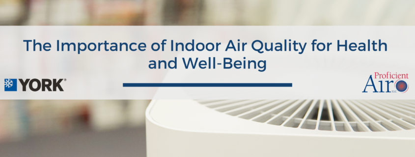 Indoor air purifier