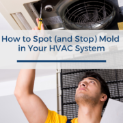 How to Spot (and Stop) Mold in Your HVAC System