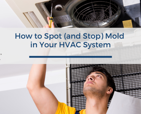 How to Spot (and Stop) Mold in Your HVAC System