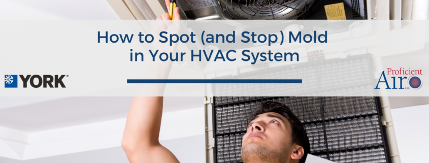 How to Spot (and Stop) Mold in Your HVAC System